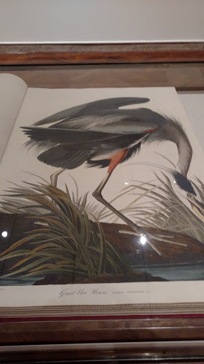 Art Gallery «Addison Gallery of American Art», reviews and photos, 180 Main St, Andover, MA 01810, USA