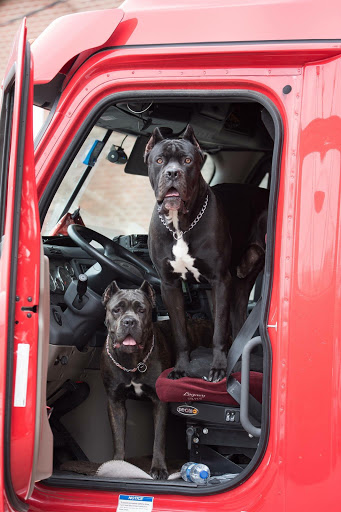 Pet Supply Store «Petco Animal Supplies», reviews and photos, 1320 E Lincoln Way p101, Sparks, NV 89434, USA