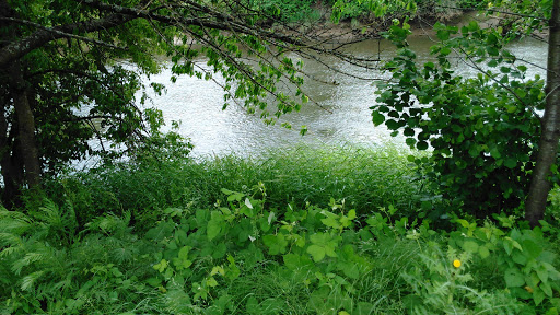 Recreation Center «Tukwila Community Center», reviews and photos, 12424 42nd Ave S, Tukwila, WA 98168, USA