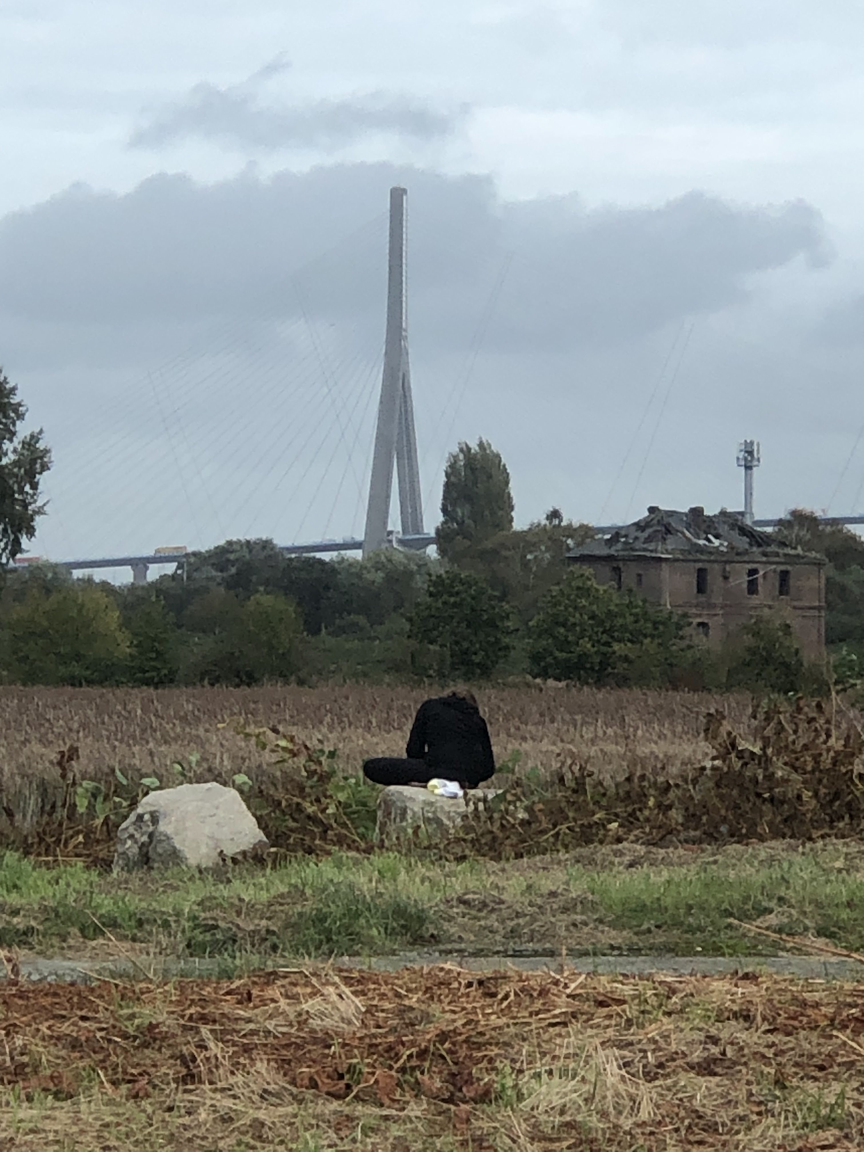 Photo n° 1 de l'avis de jeanie.u fait le 26/10/2023 à 19:26