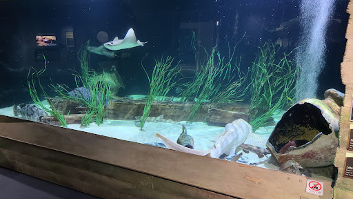 Aquarium «Great Lakes Aquarium», reviews and photos, 353 Harbor Dr, Duluth, MN 55802, USA