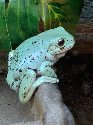 Pet Supply Store «Petco Animal Supplies», reviews and photos, 5120 E Bay Dr, Clearwater, FL 33764, USA