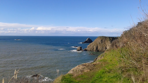 General Store «Elk Store», reviews and photos, 6101 CA-1, Elk, CA 95432, USA