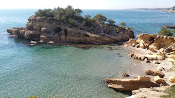 Photo de Cala de l'Aliga avec un niveau de propreté de très propre