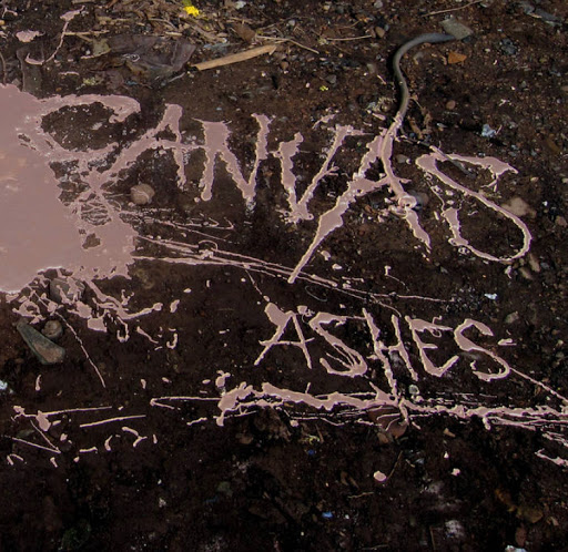 Tobacco Shop «Sunshine Daydream», reviews and photos, 2941 Boston Post Rd, Guilford, CT 06437, USA