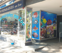 Zierfischeparadies am Zoo photo