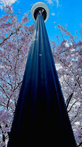 Cookie Shop «Insomnia Cookies», reviews and photos, 367 S Main St, Akron, OH 44308, USA