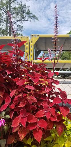 Hardware Store «Proctor Ace Hardware», reviews and photos, 5723 University Blvd W, Jacksonville, FL 32216, USA