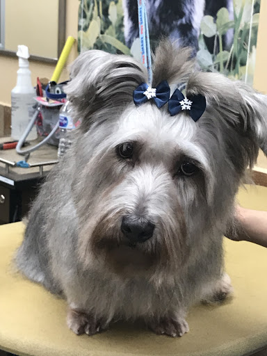 Pet Supply Store «PetSmart», reviews and photos, 476 Corwin Nixon Blvd, South Lebanon, OH 45065, USA