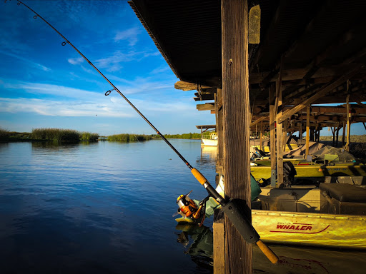 Marina «Bullfrog Marina», reviews and photos, 17251 Bacon Island Rd, Stockton, CA 95219, USA