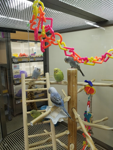 Pet Supply Store «Petco Animal Supplies», reviews and photos, 474 228th Ave NE, Sammamish, WA 98074, USA