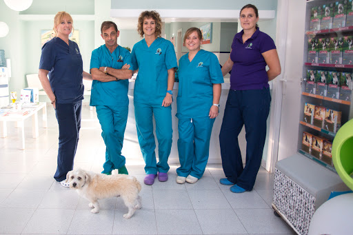 Hospitales y veterinarios de urgencia en Teulada de 2024