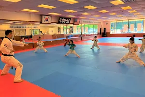 SOMERSET TAEKWONDO image