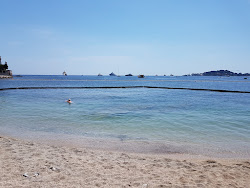 Dörtböcekleri Plajı'in fotoğrafı ve yerleşim