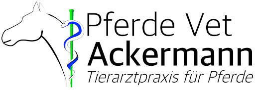 Pferde Vet Ackermann unter Friedrichsthal, 