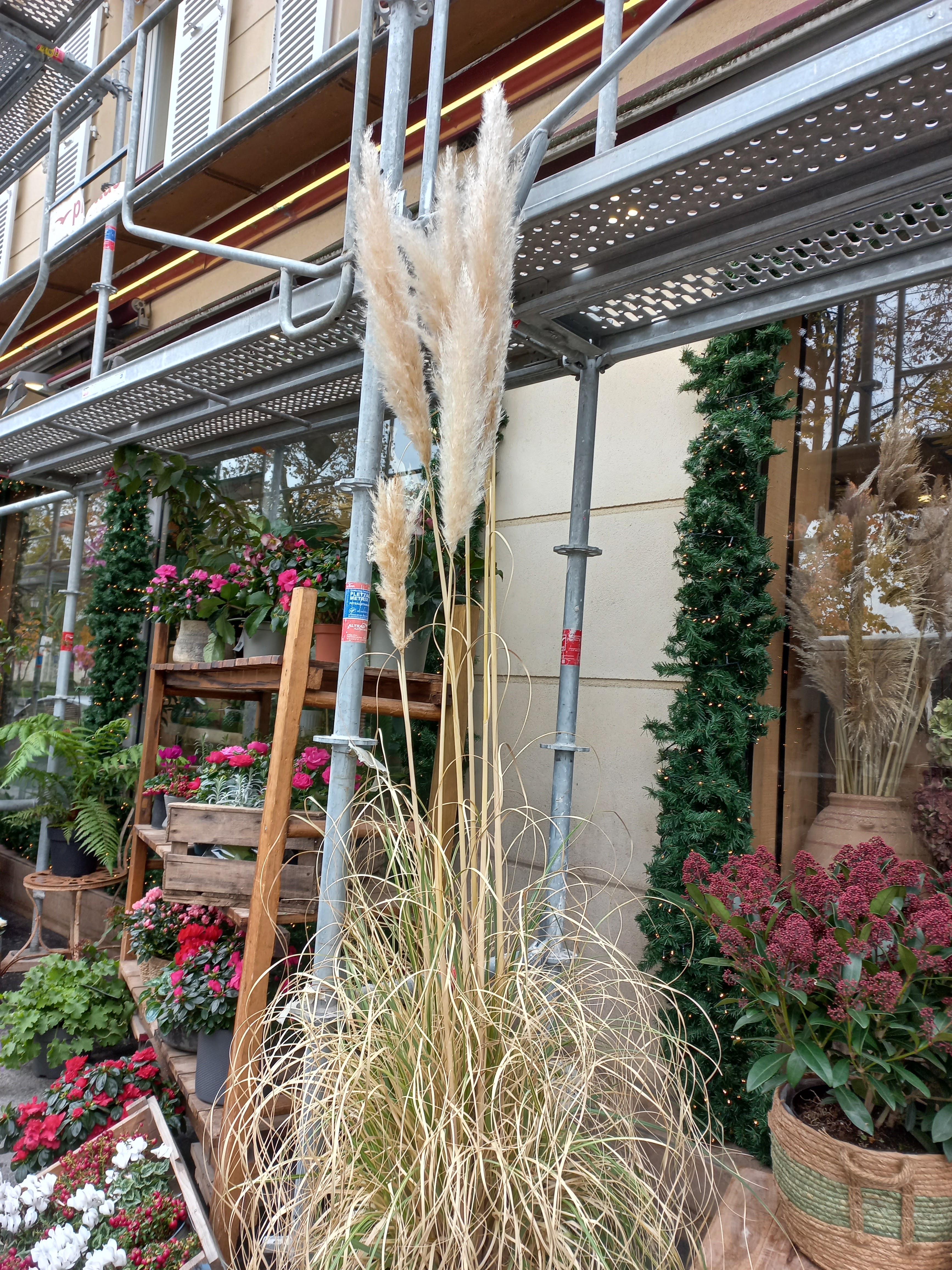 Photo n° 1 de l'avis de Stéphanie. fait le 19/11/2021 à 22:06