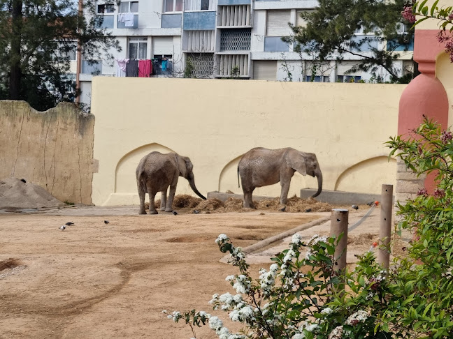 Comentários e avaliações sobre o Jardim Zoológico de Lisboa