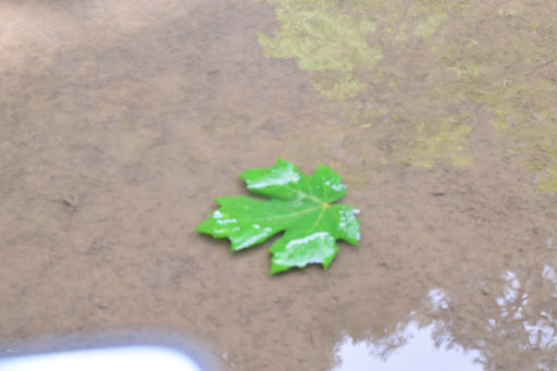 Waterfall «Horsetail Falls», reviews and photos, Historic Columbia River Hwy, Cascade Locks, OR 97014, USA