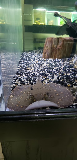 Pet Store «Alpha Pro Pets», reviews and photos, 2256 OH-59, Kent, OH 44240, USA