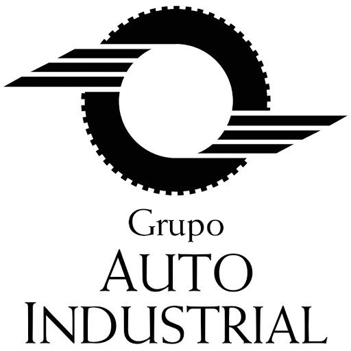 Group Auto-Industrial SA
