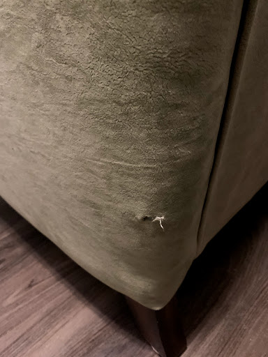 Moving Company «College Hunks Hauling Junk and Moving», reviews and photos, 6501 Old Warwick Rd, Richmond, VA 23225, USA