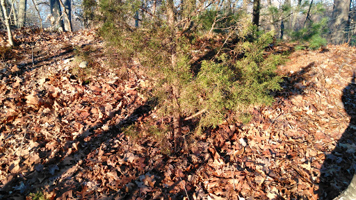 Park «Bare Cove Park», reviews and photos, Bare Cove Park Dr & Fort Hill St, Hingham, MA 02043, USA