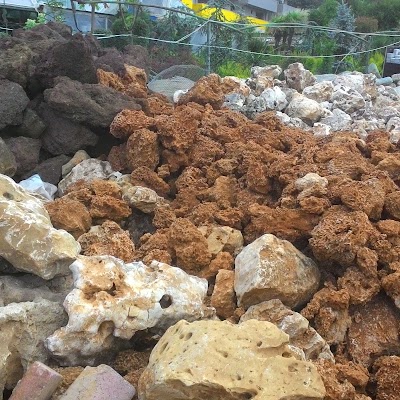 Photos of ataşehir peysaj fidanlığı