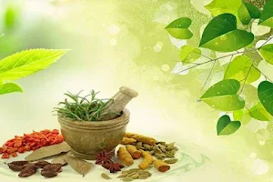 Recova Life Ayurvedic Clinic in Aundh image