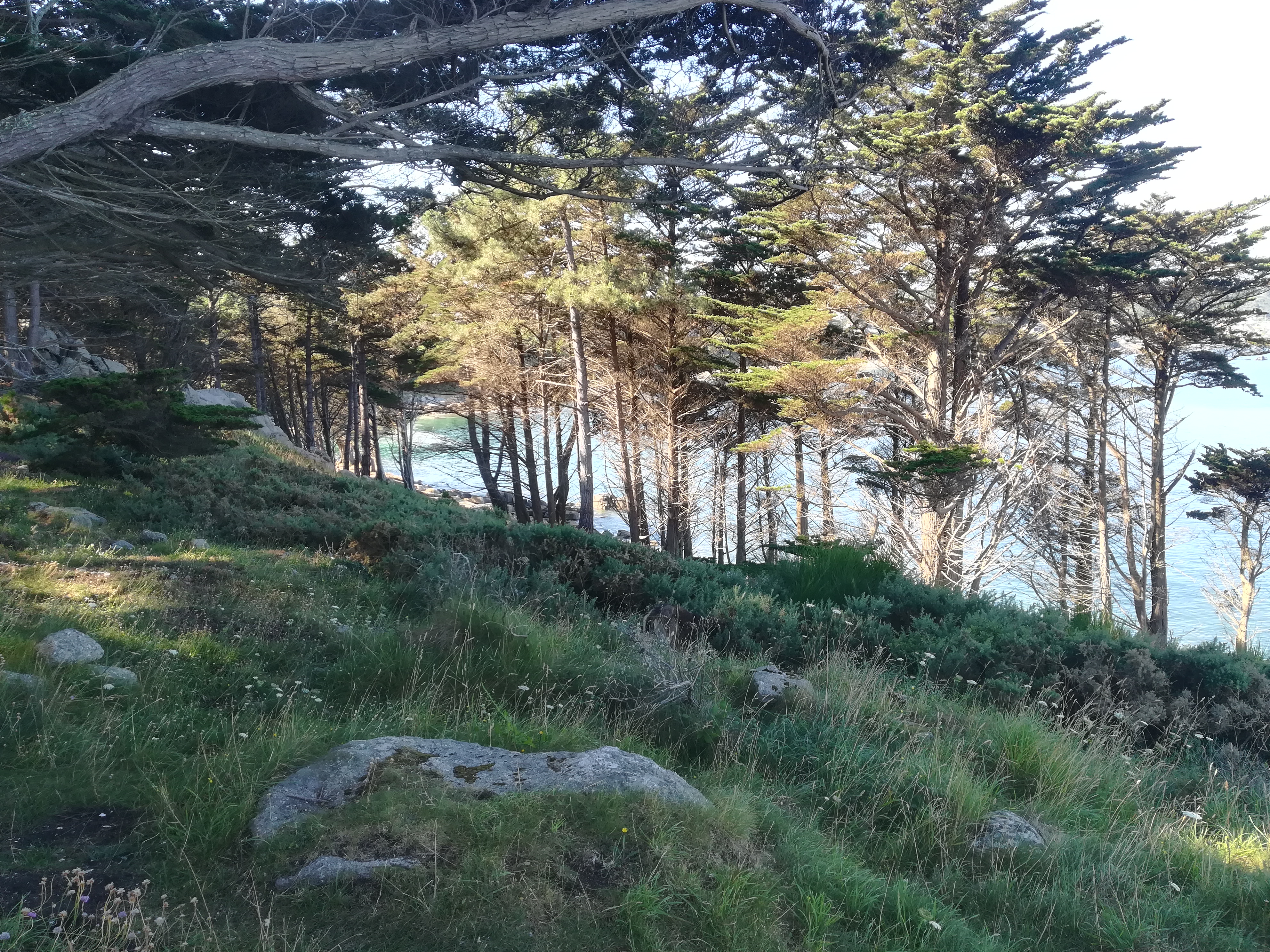 Photo n° 1 de l'avis de Célia.E fait le 15/07/2018 à 10:16