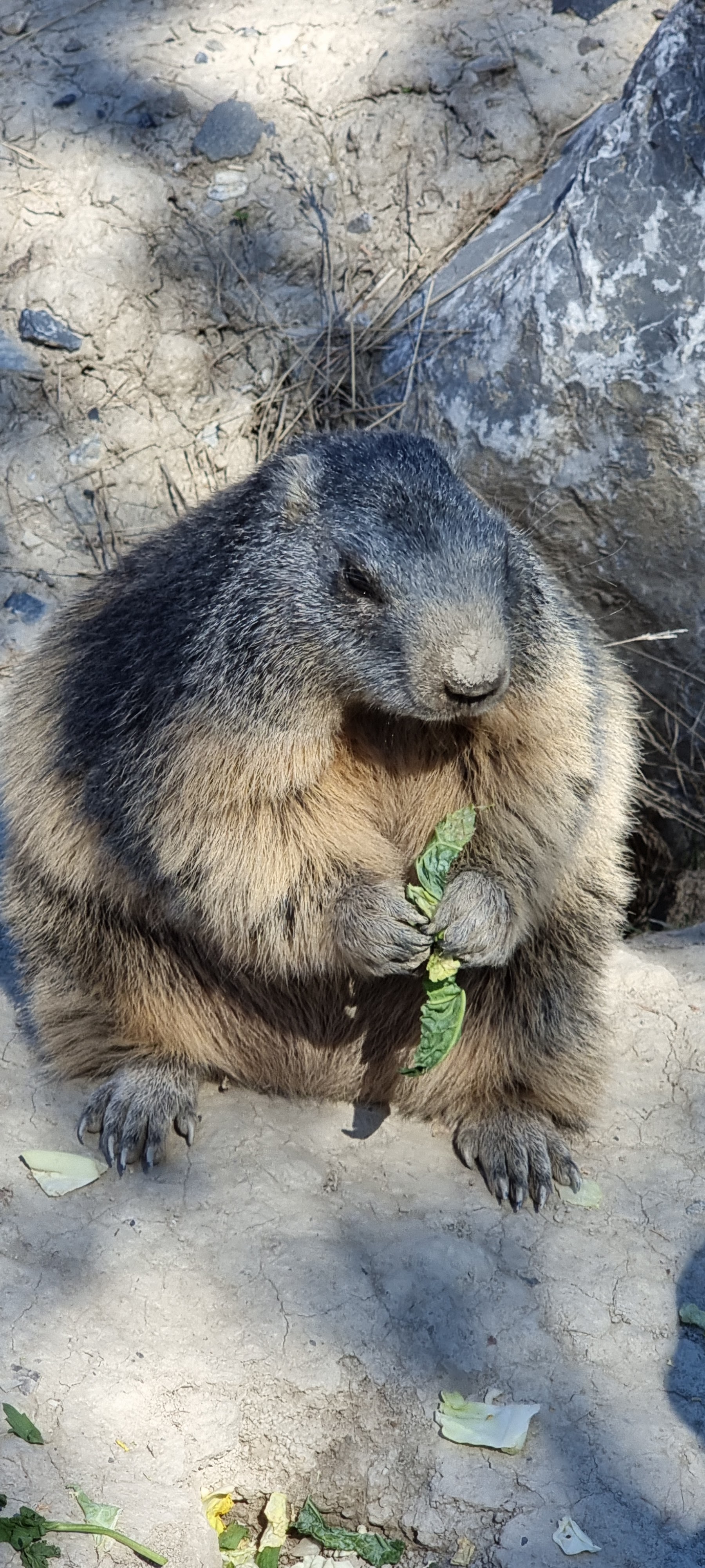 Photo n° 2 de l'avis de Didier.E fait le 03/09/2022 à 06:54