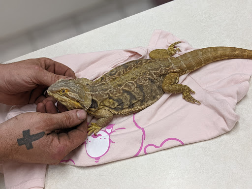 1608 Nederland Ave, Nederland, TX 77627, USA