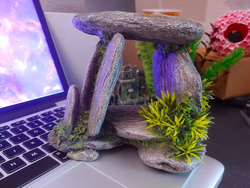 Pet Supply Store «Petco Animal Supplies», reviews and photos, 3384 Tyler St, Riverside, CA 92503, USA