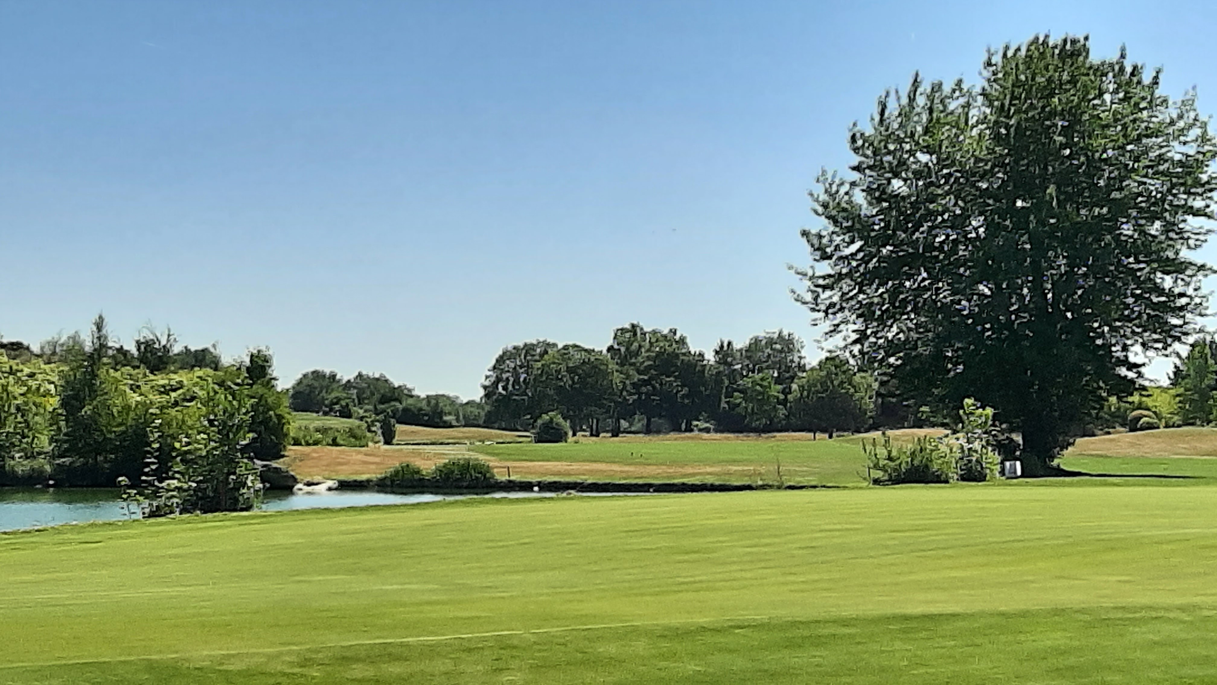 Photo n° 3 de l'avis de Michel.a fait le 08/07/2022 à 07:37