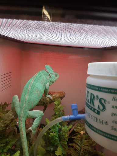 Pet Supply Store «Pet Supplies Plus», reviews and photos, 101 Sutton Ave, Oxford, MA 01540, USA