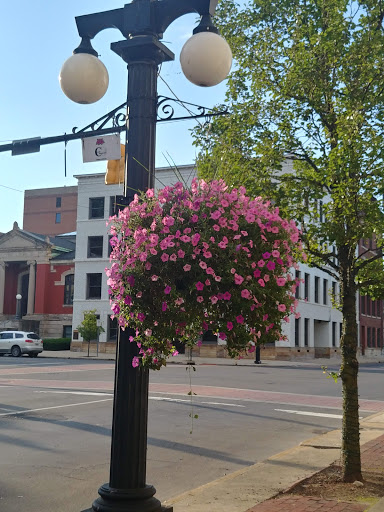 Coffee Shop «Nova Coffee Co», reviews and photos, 112 N Park Ave, Warren, OH 44481, USA