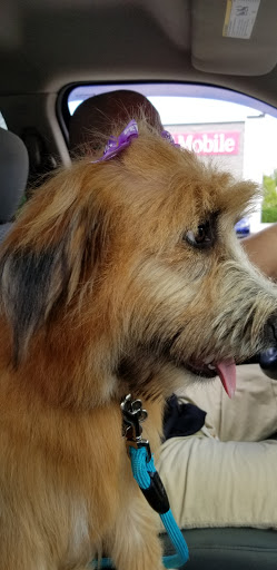 Pet Supply Store «PetSmart», reviews and photos, 1125 Quentin Rd, Lebanon, PA 17042, USA