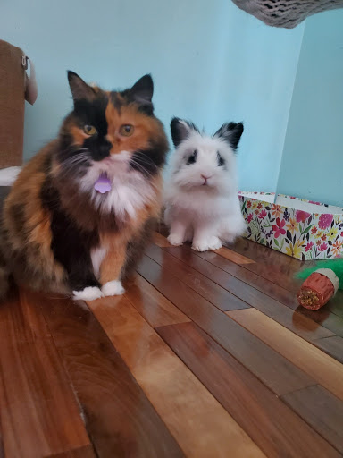 Find music notes tattoo ideas for your next unique tattoo in Arden at Captive Minds