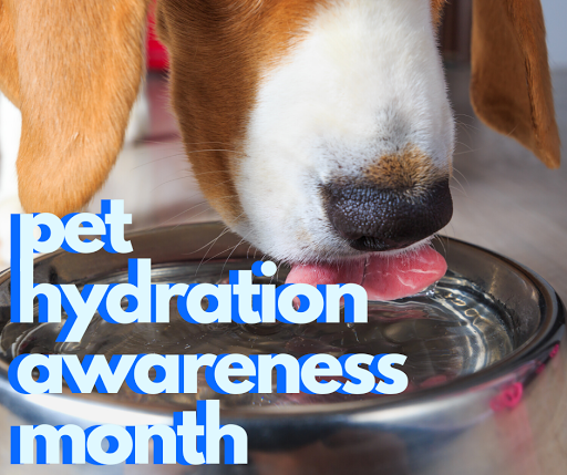 Pet Supply Store «Pet X Supplies & Tack», reviews and photos, 132 W Highland Rd Suite 101, Howell, MI 48843, USA