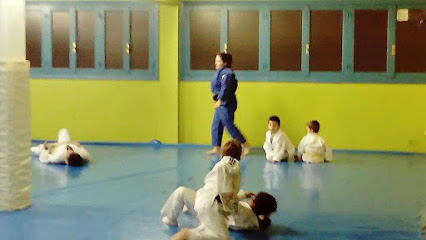 Judo Bokken Irún - Pintor Berrueta Kalea, 4-8, 20305 Irun, Gipuzkoa, Spain