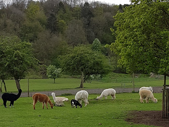 Naturwildpark Freisen