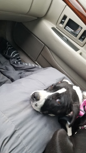 Animal Feed Store «All Pet Feed & Tack», reviews and photos, 25598 E Baseline St, San Bernardino, CA 92410, USA