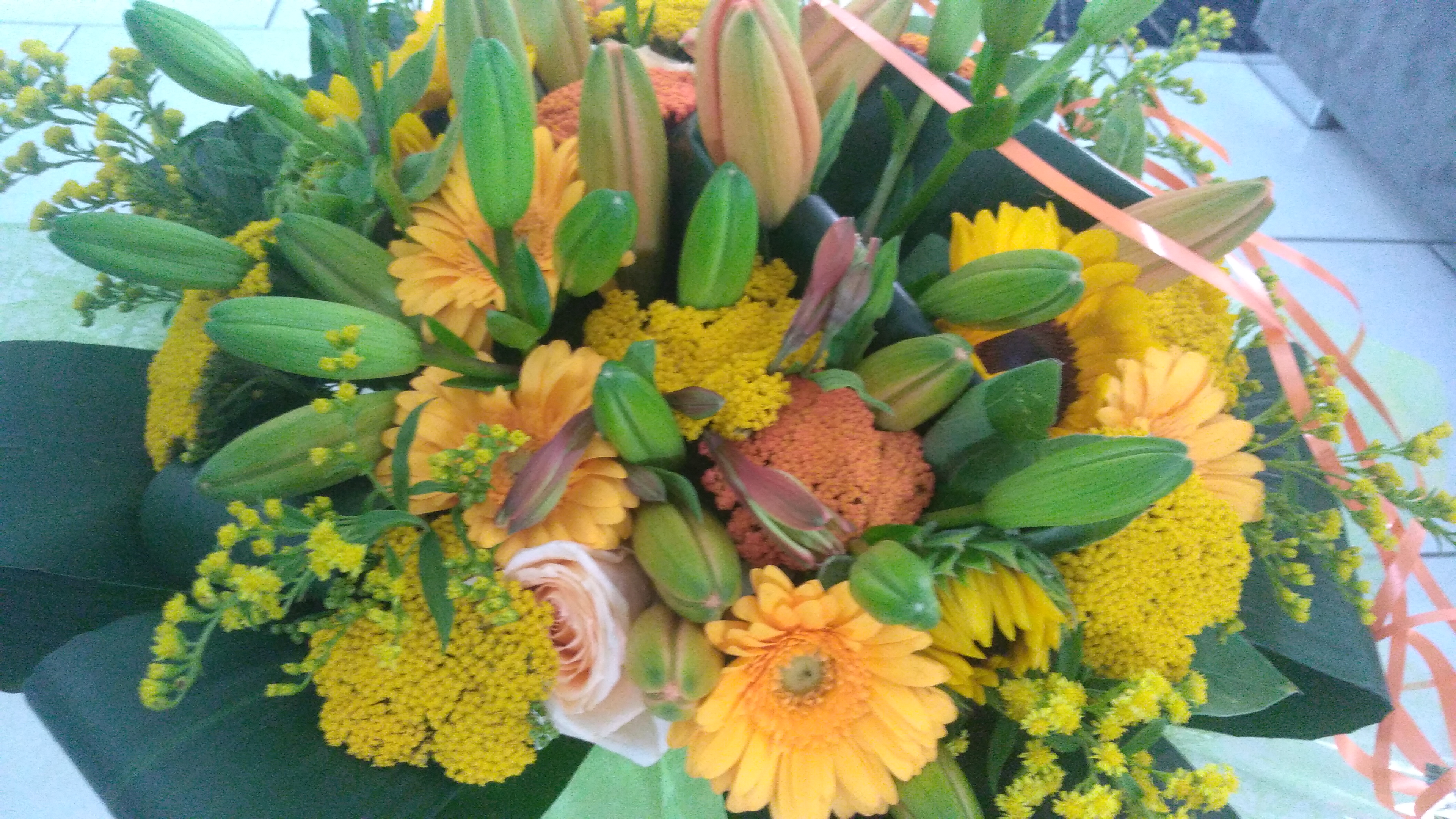 Photo n° 2 de l'avis de Laurie.e fait le 04/07/2023 à 14:37