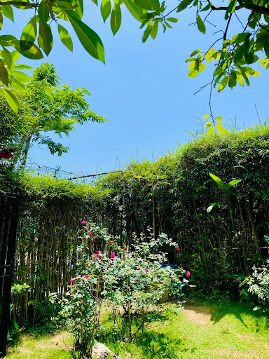 Khu nghỉ dưỡng resort gia đình