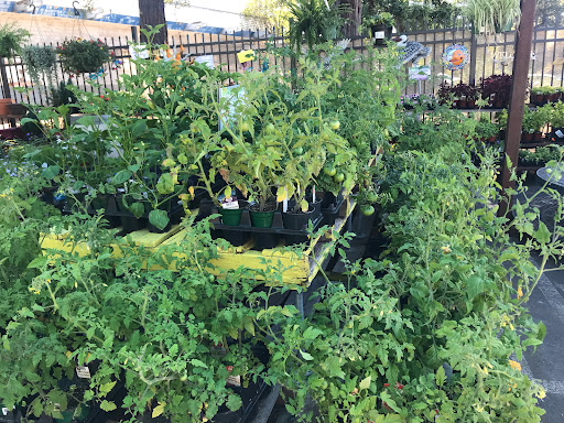 Hardware Store «Marin Ace Hardware», reviews and photos, 180 Merrydale Rd, San Rafael, CA 94903, USA