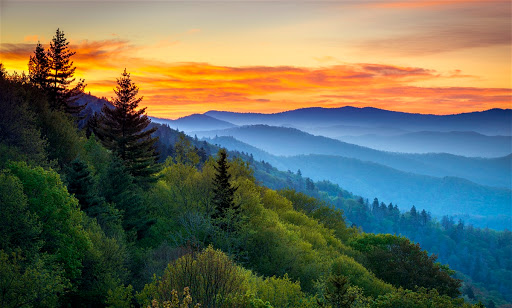 National Park «Great Smoky Mountains National Park», reviews and photos