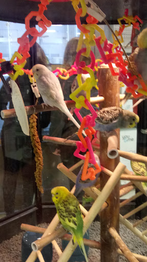 Pet Supply Store «Petco Animal Supplies», reviews and photos, 7625 Jolly Ln, Brooklyn Park, MN 55428, USA