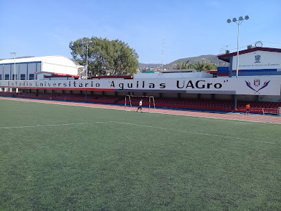 Estadio UAGro