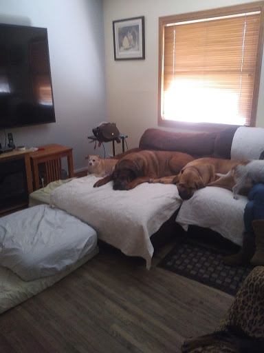 Tobacco Shop «L I Tobacco Outlet Inc», reviews and photos, 215 Ronkonkoma Ave # B, Ronkonkoma, NY 11779, USA