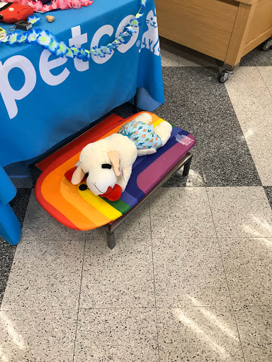 Pet Supply Store «Petco Animal Supplies», reviews and photos, 2784 W Peoria Ave, Phoenix, AZ 85029, USA