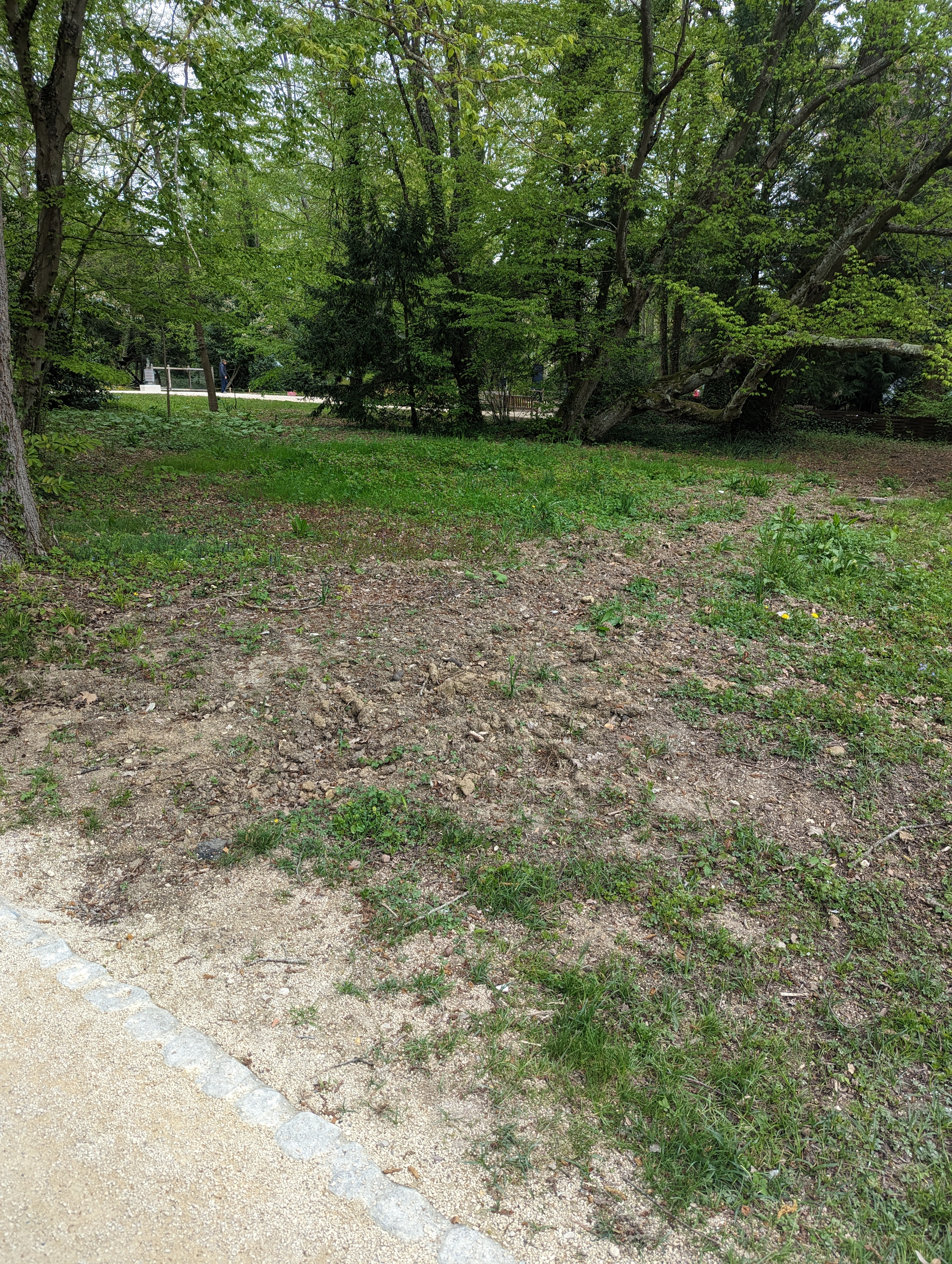 Photo n° 1 de l'avis de Emilie.o fait le 18/04/2023 à 15:47